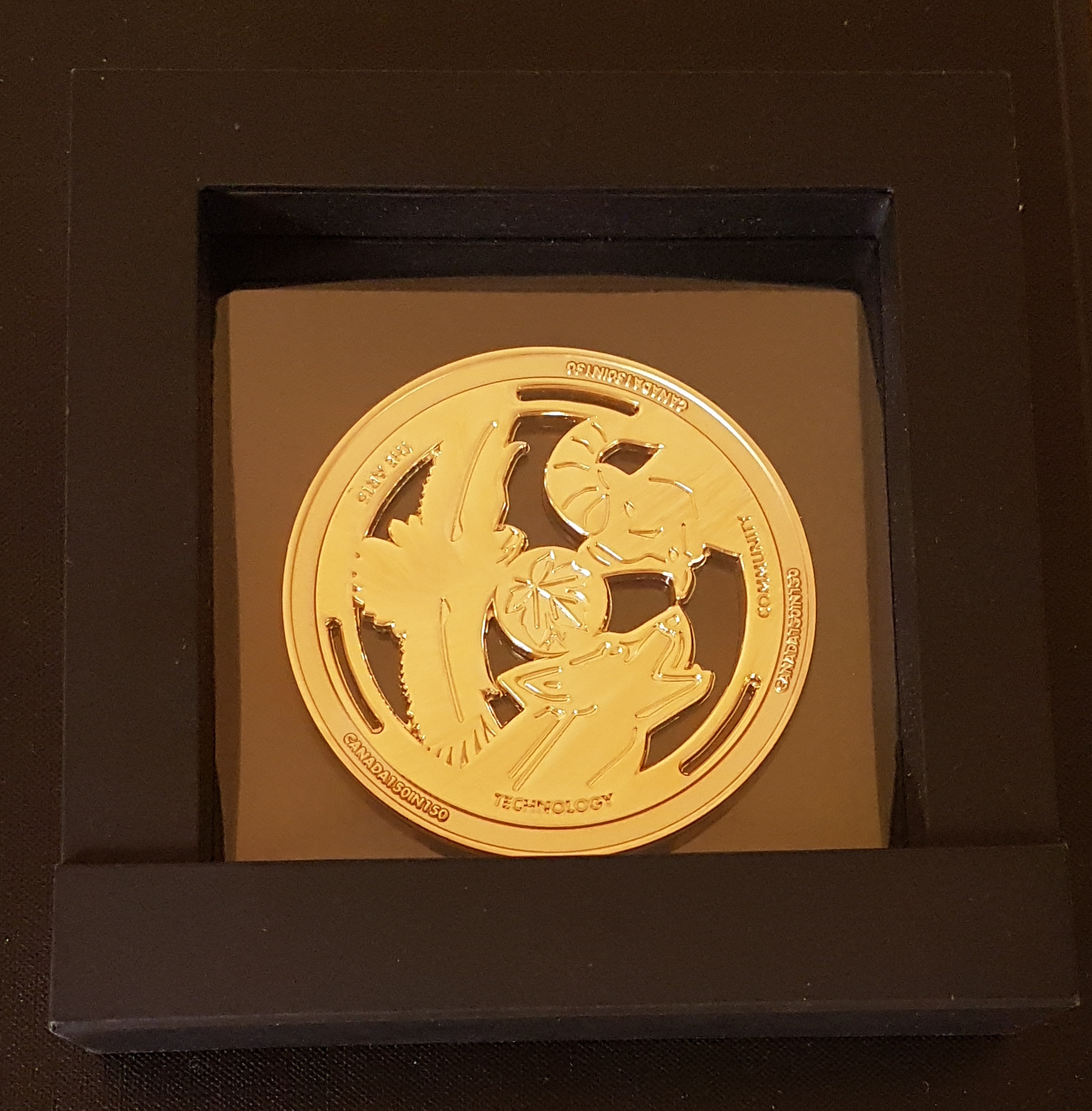 Canada150in150 limited edition medallion designed by renowned indigenous artist Jason Carter was awarded to IntelliView for contribution to Alberta in the field of technology (protecting life, assets and the environment by enabling automated real-time leak detection).